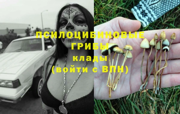 сатива Алексеевка