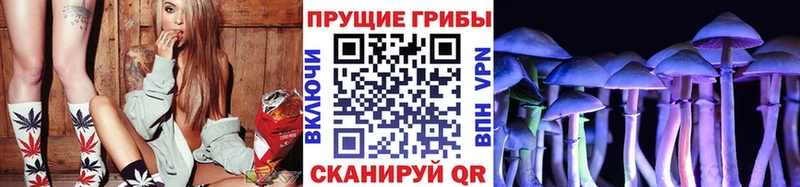 МЕГА ссылки  Южно-Сухокумск  Псилоцибиновые грибы Magic Shrooms  дарнет шоп 