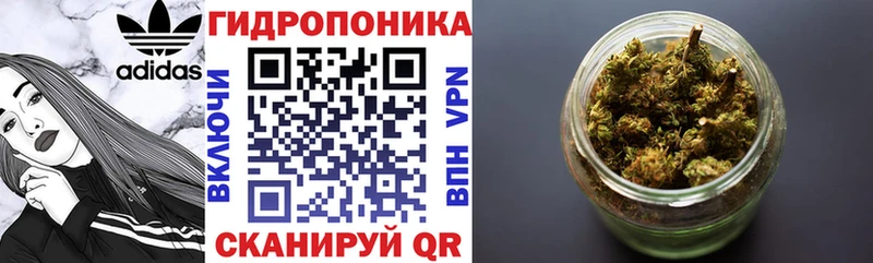 Бошки Шишки марихуана  Южно-Сухокумск 
