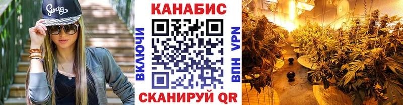 МАРИХУАНА план Южно-Сухокумск